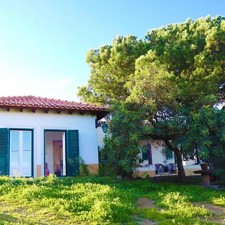 Beguest Lisbon's North West Nature & Beach House Σπίτι διακοπών Reguengo Grande
